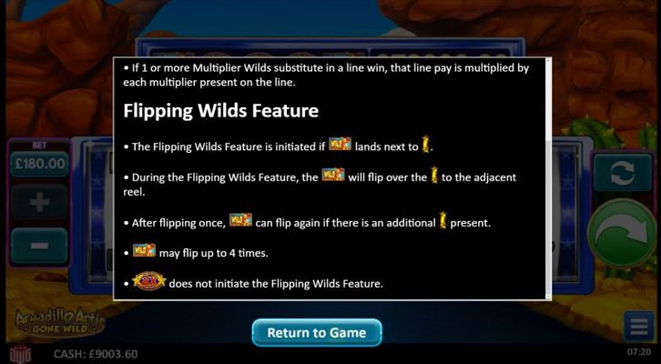 Flipping Wilds Feature