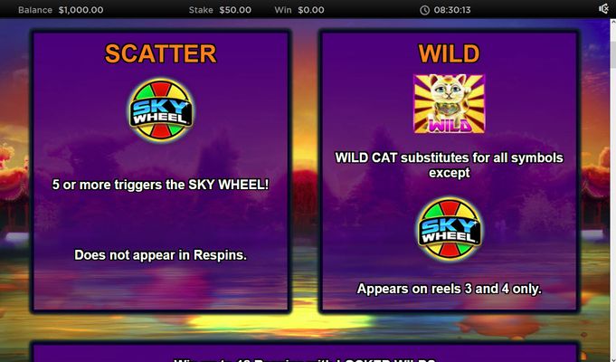 Astro Cat Deluxe :: Wild and Scatter Rules