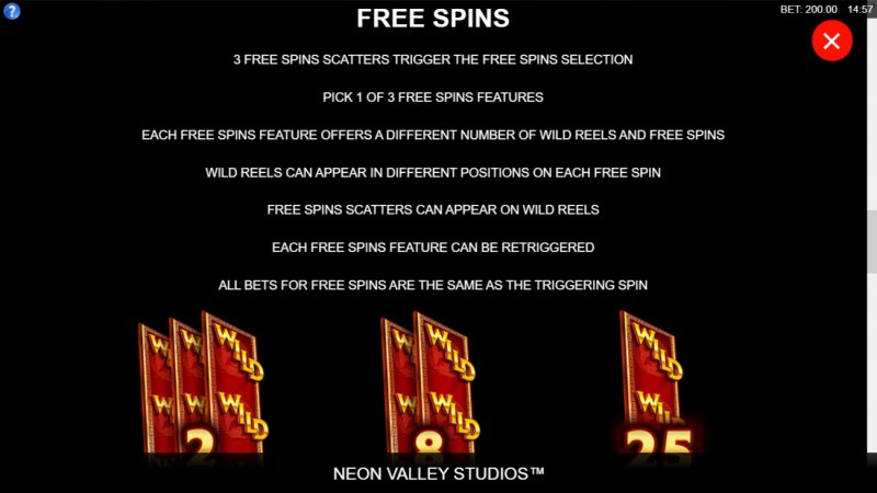 Free Spin Feature Rules