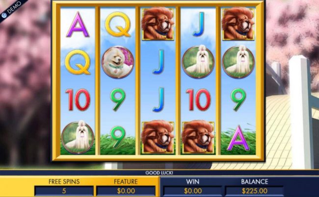 Free Spins Game Board