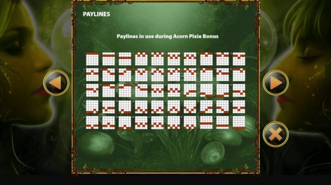 Bonus Game Paylines 1-50