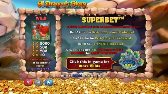 Wild symbol paytable and Superbet rules