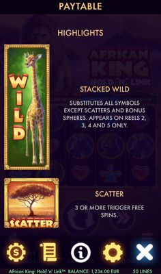 Wild and Scatter Rules
