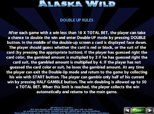 Double Up Gamble Feature Rules