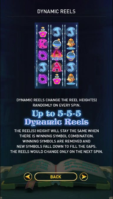 Dynamic Reels