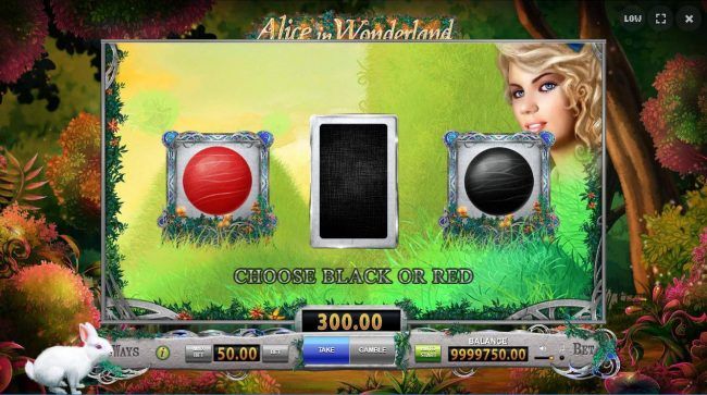 Gamble Feature - To gamble any win press Gamble then select Red or Black.