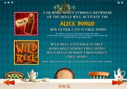 bonus and wild symbols game rules