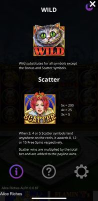 Wild and Scatter Rules