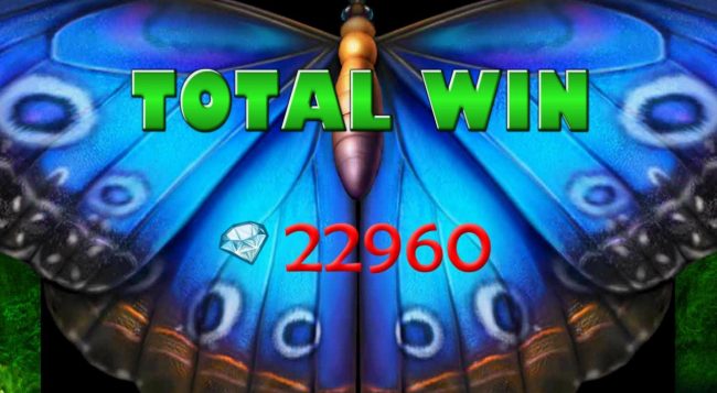 Total Free Spins Bonus Win 22,960 coins