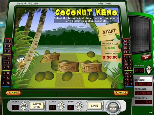 Collect coconuts to earn a prize