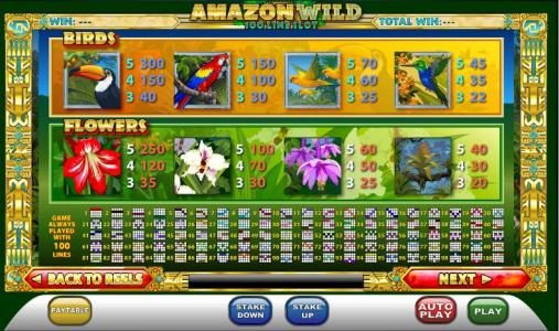 slot game symbols paytable and 100 payline diagrams