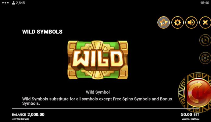 Wild Symbol