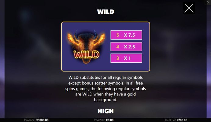 Wild Symbol