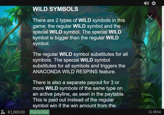 Wild Symbol Rules