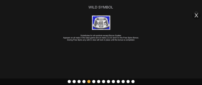 Animal Antics :: Wild Symbol