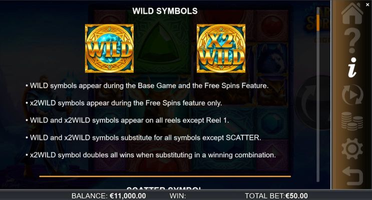 Wild Symbol