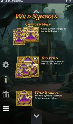 Wild Symbol