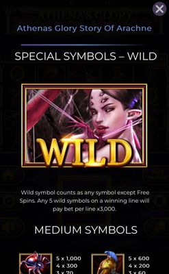 Wild Symbol