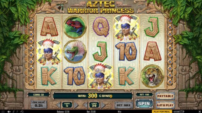 Three scatter symbols triggers a 300 coin payout and activates the Free Spins feature.
