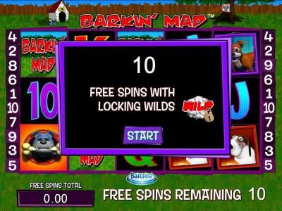 10 free spins awarded with locking wilds