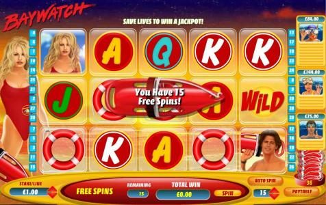 15 Free Spins Awarded