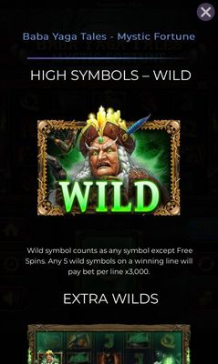 Wild Symbol