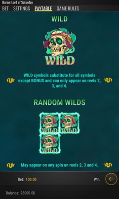 Wild Symbol