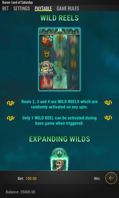 Feature Rules