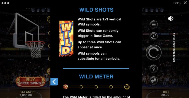 Wild Symbol