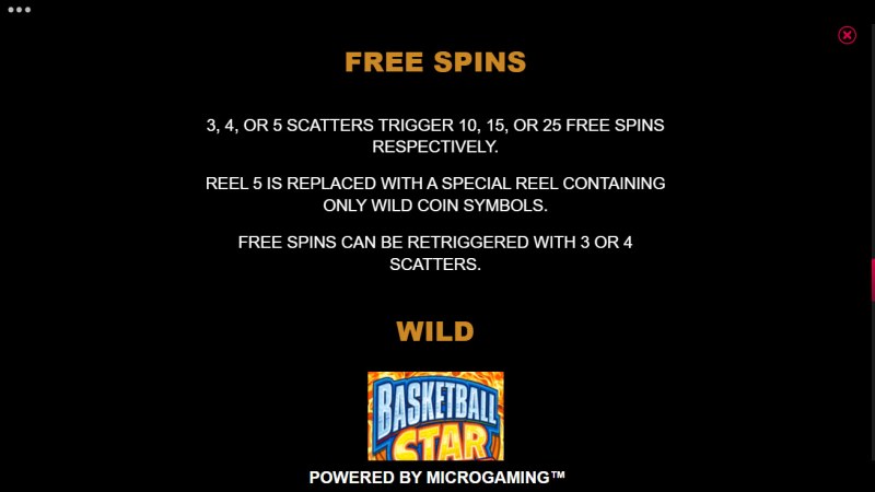 Free Spin Feature Rules