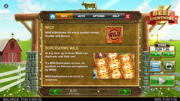 Wild Symbol Rules