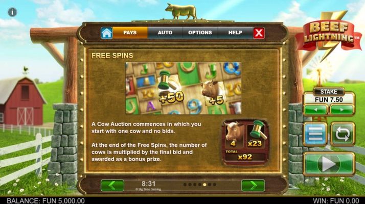 Free Spin Feature Rules
