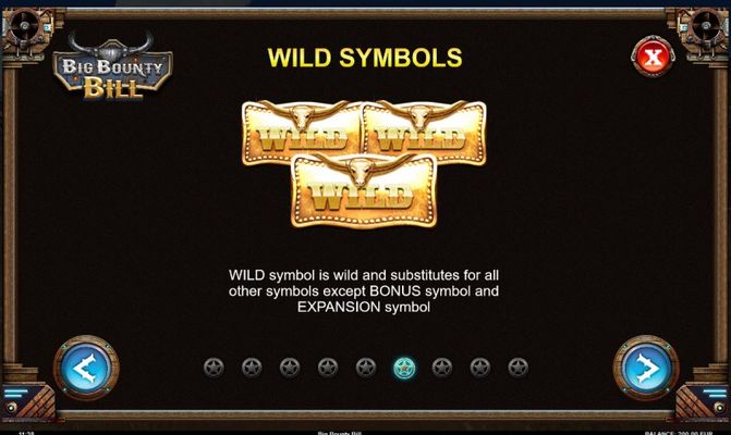 Wild Symbols Rules