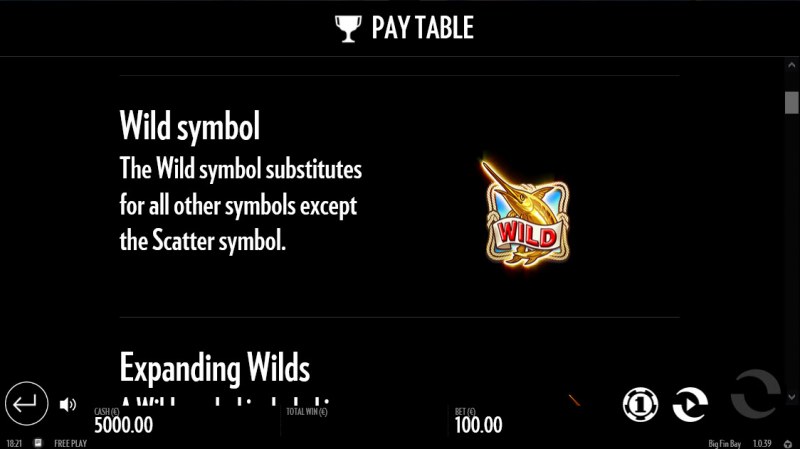 Wild Symbol Rules