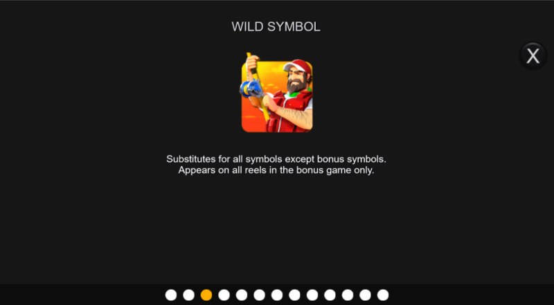 Wild Symbol Rules