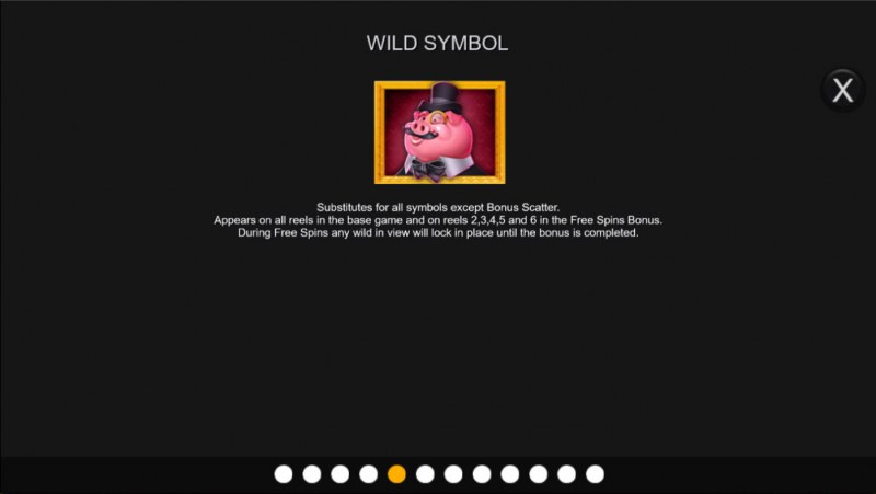 Wild Symbol Rules