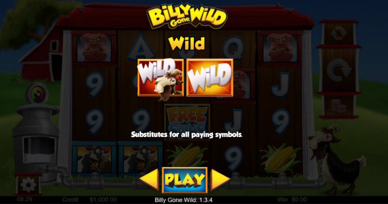 Wild Symbols Rules