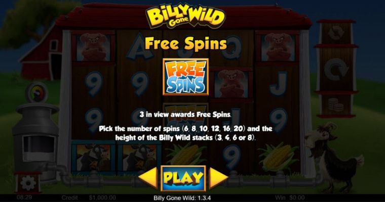 Free Spins Rules