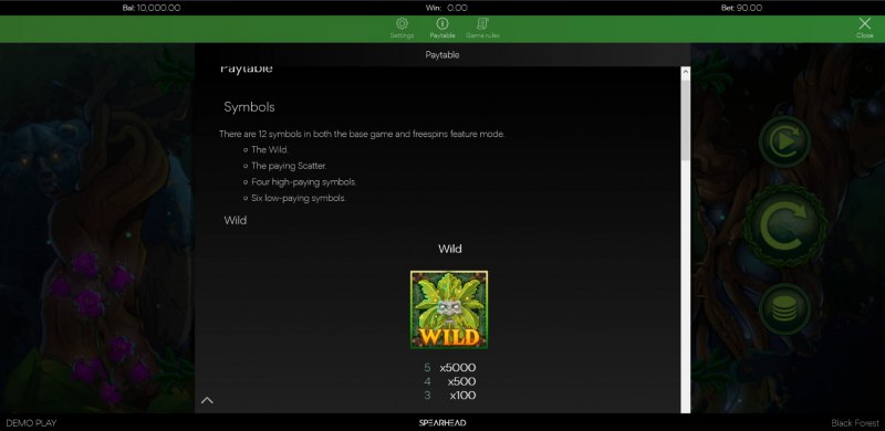 Wild Symbol Rules