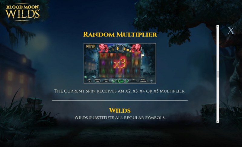 Random Multipliers