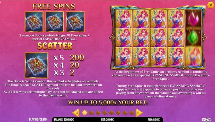 Free Spin Feature Rules