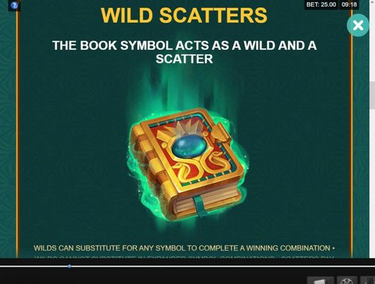 Wild and Scatter Rules