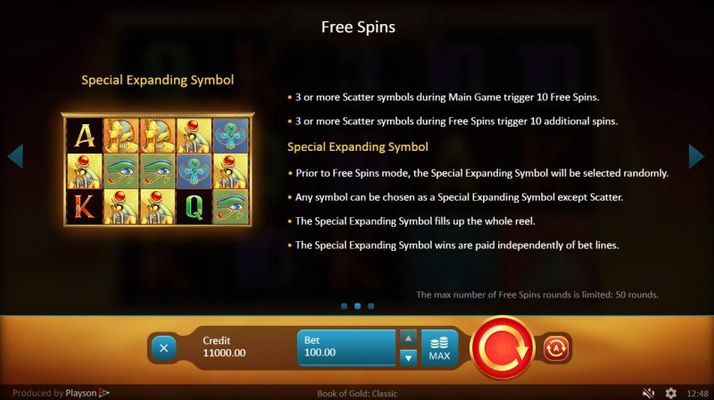 Free Spins Rules