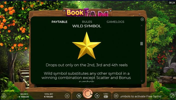 Wild Symbol Rules