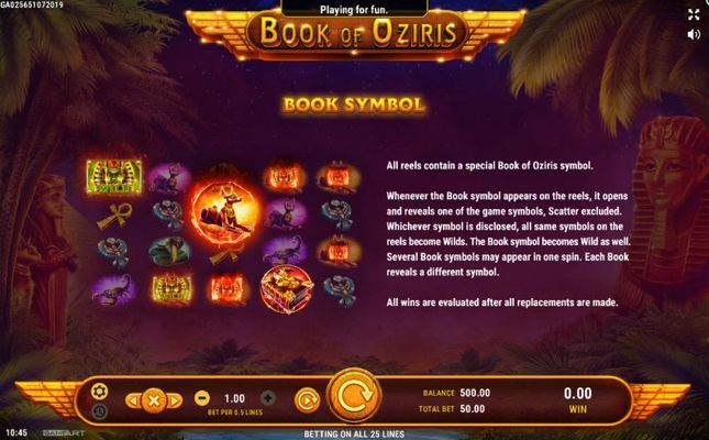 Wild Symbols Rules