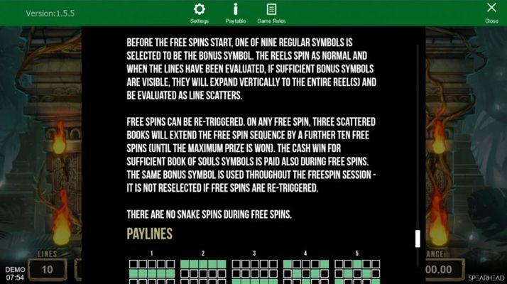 Free Spin Feature Rules