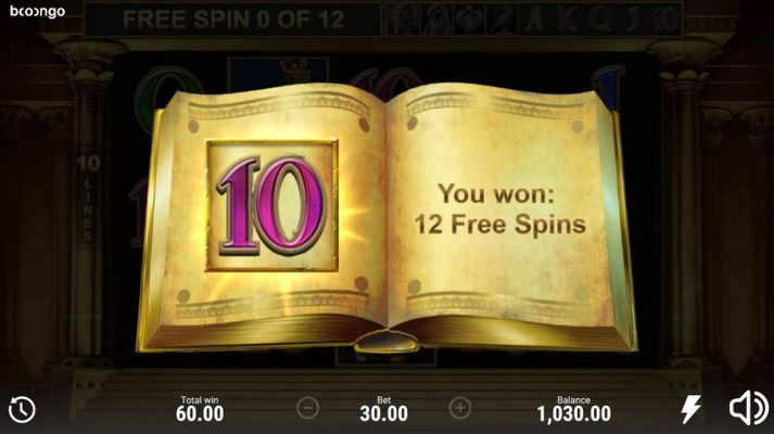 12 free spins awarded