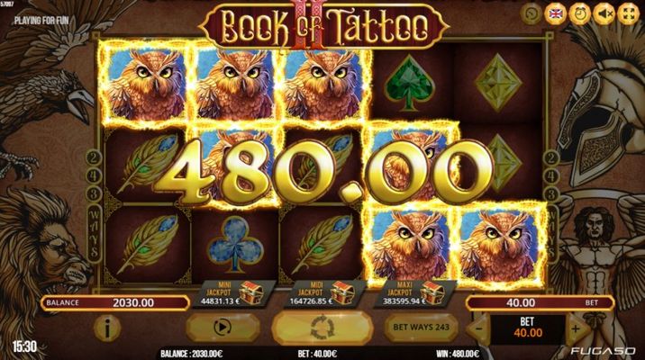 Book of Tattoo II :: Multiple winning paylines