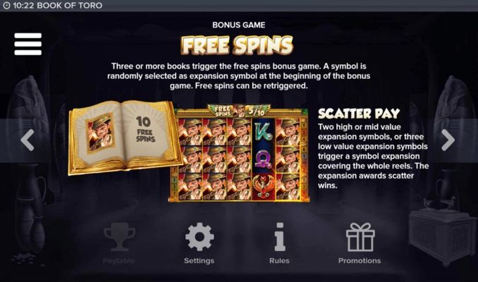 Free Spin Feature Rules