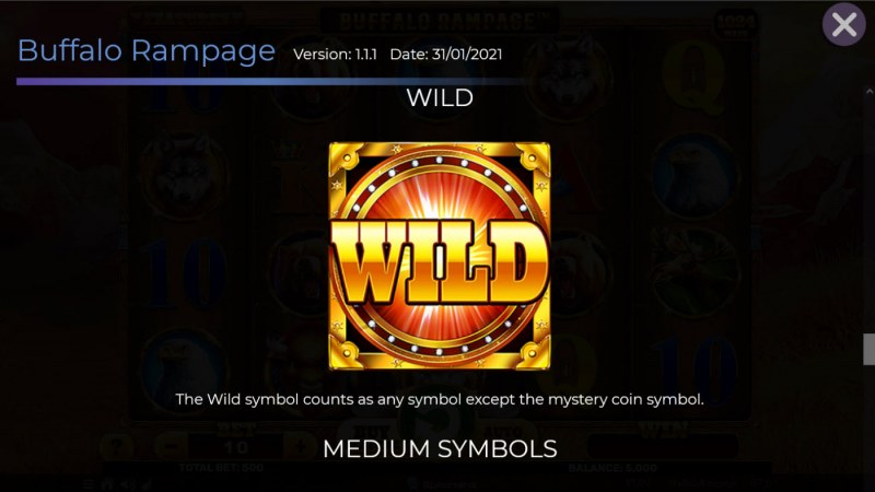 Wild Symbol Rules